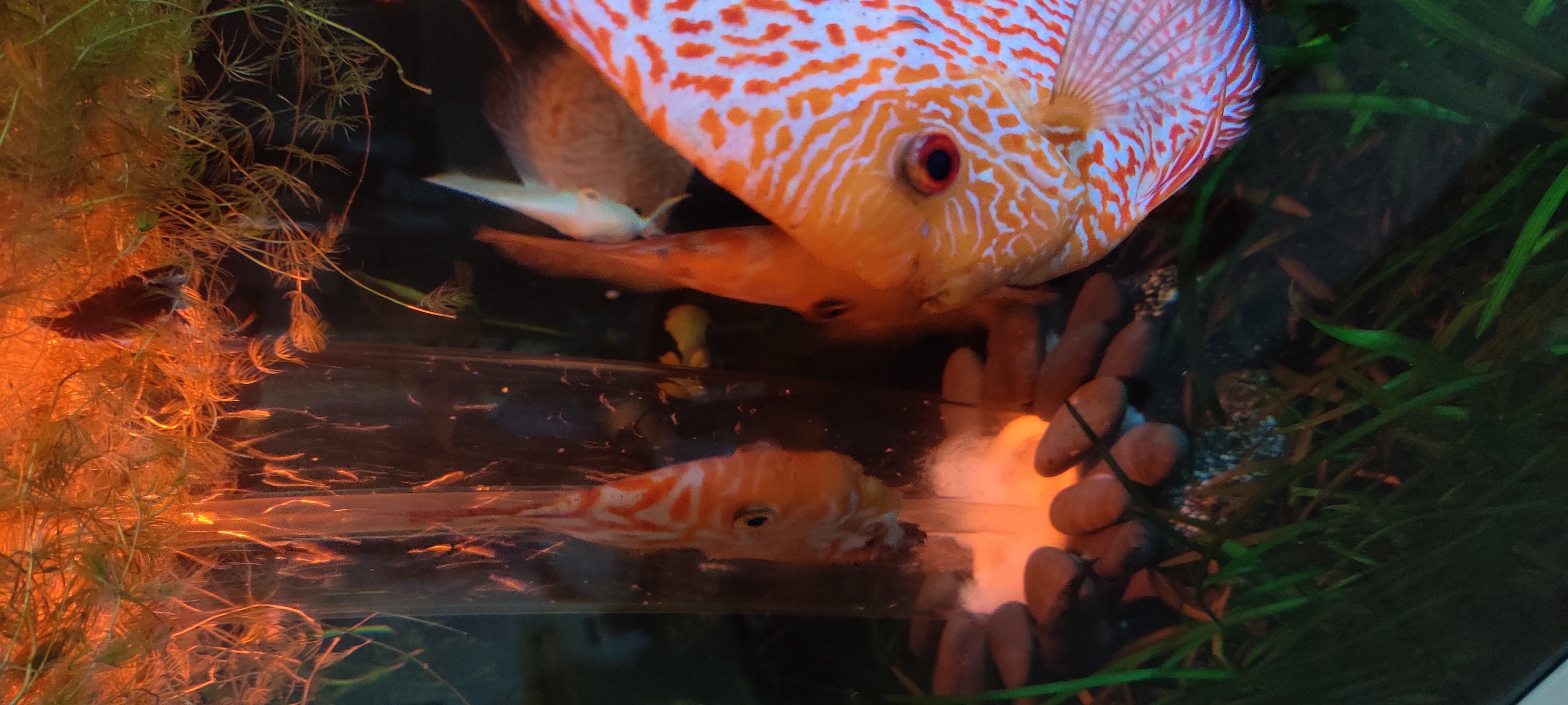 Yosemite National Park